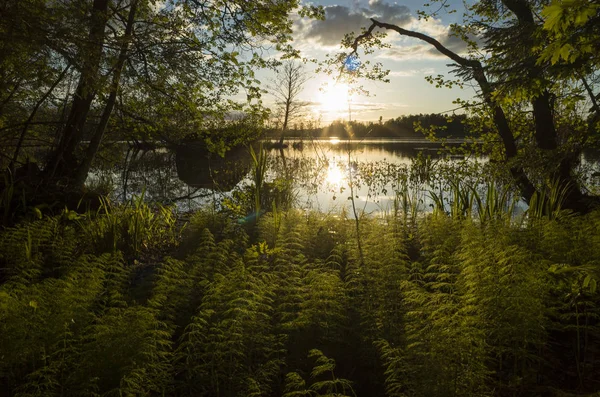 Озеро Швеции Скандинавия Европа — стоковое фото