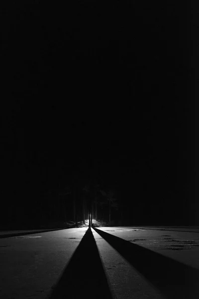 男子站在户外夜间在森林闪耀着手电筒在黑暗的天空和树木 — 图库照片