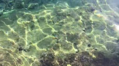 nehir su yüzeyinin arka plan olarak görünümü 