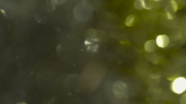 Renkli bokeh arka plan, yumuşak güzel ışık desenler ve ayrıntıları. Güzel, sakin ve huzurlu görüntü.