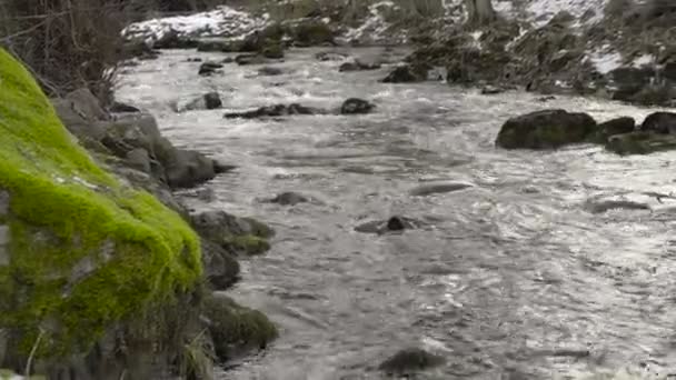 Vista Corrente Água Rio Durante Dia — Vídeo de Stock