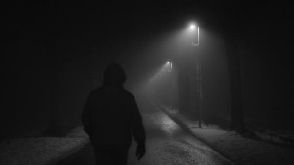 Man Walking Night Tree Alley Shining Beautiful Dark Snowy Winter — Stock Video