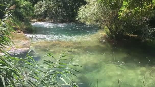 Milli Park Krka Hırvatistan Güzel Sıcak Yaz Günü — Stok video
