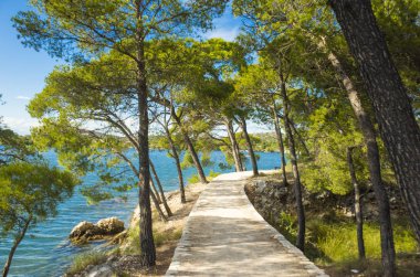 Kanal, St Anthony, Sibenik, Hırvatistan. Güzel güneşli bir günde Dalmaçya, açık havada güzel ve sıcak yaz sezonu manzara fotoğrafı, Adriyatik Denizi. Sakin, huzurlu ve mutlu görüntü.
