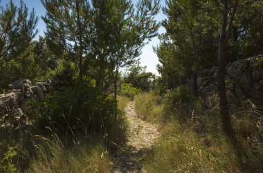 Akdeniz sahilinde güzel açık havada. Sakin, huzurlu ve mutlu resim.