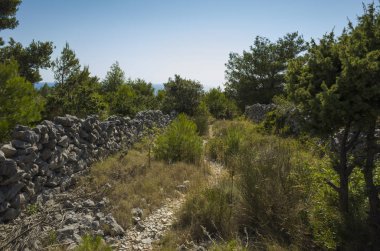 Akdeniz sahilinde güzel açık havada. Sakin, huzurlu ve mutlu resim.