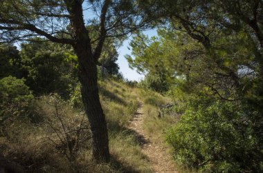 Akdeniz sahilinde güzel açık havada. Sakin, huzurlu ve mutlu resim.