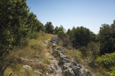 Akdeniz sahilinde güzel açık havada. Sakin, huzurlu ve mutlu resim.