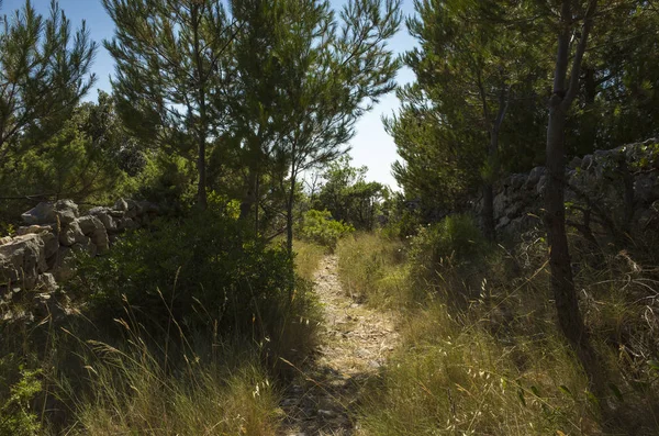 Akdeniz sahilinde güzel açık havada. Sakin, huzurlu ve mutlu resim.