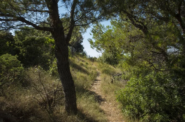 Akdeniz sahilinde güzel açık havada. Sakin, huzurlu ve mutlu resim.