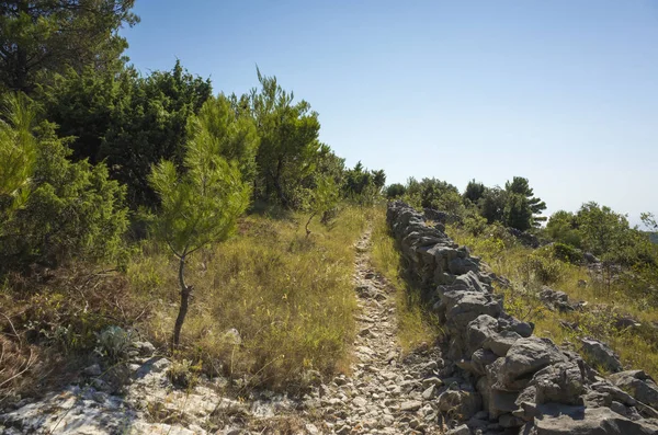 Akdeniz sahilinde güzel açık havada. Sakin, huzurlu ve mutlu resim.