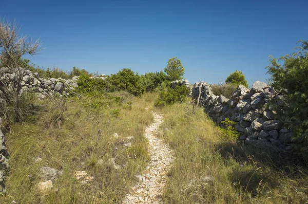 Akdeniz sahilinde güzel açık havada. Sakin, huzurlu ve mutlu resim.