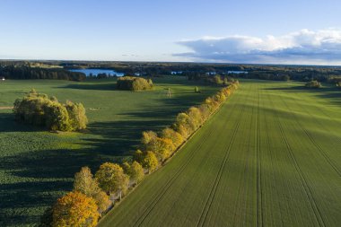 doğa manzara sonbahar sezonu havadan görünümü