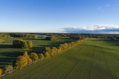 doğa manzara sonbahar sezonu havadan görünümü