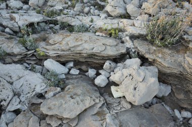 doku ve detaylarını Adriyatik Denizi kıyısında, Hırvatistan 