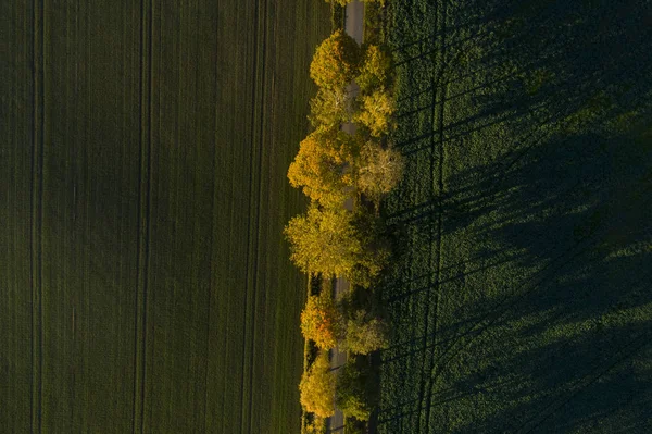 秋の自然の風景の空撮 — ストック写真