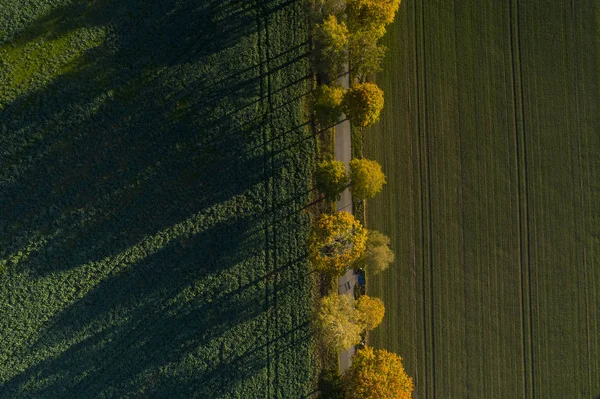 Воздушный Вид Природу Осенний Сезон — стоковое фото
