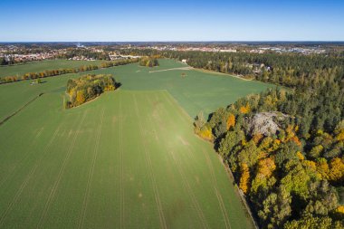 doğa manzara sonbahar sezonu havadan görünümü