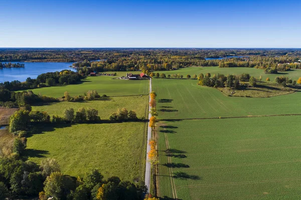 doğa manzara sonbahar sezonu havadan görünümü