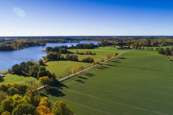 doğa manzara sonbahar sezonu havadan görünümü