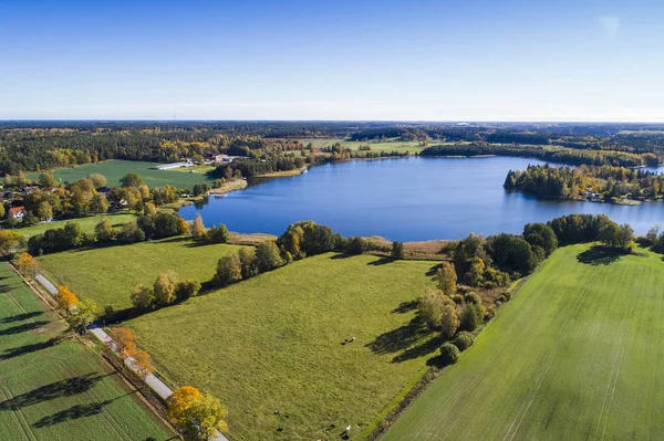 doğa manzara sonbahar sezonu havadan görünümü