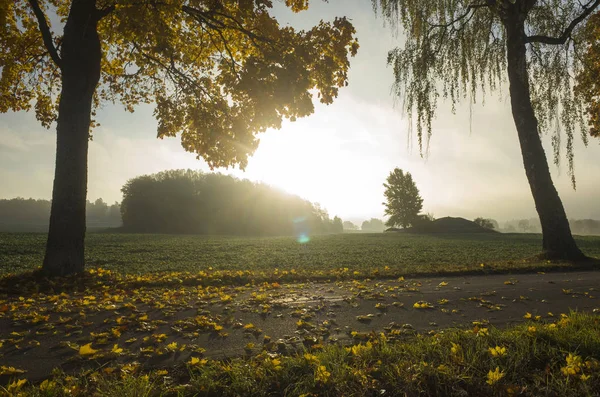 Scenic View Sunset Autumn Season — Stock Photo, Image