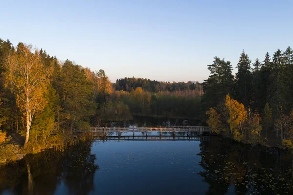 Utsikt Över Sjön Rundade Skog Höstsäsongen — Stockfoto