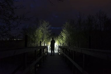 gece ormanda ağaçları aydınlatma adam siluet 