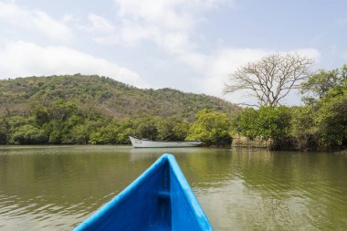 nehir üzerinde bükme yeşil ağaçların görünümü