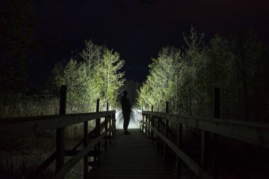 gece ormanda ağaçları aydınlatma adam siluet 