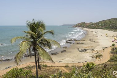 gündüz okyanus kıyı şeridi nin doğal görünümü, seyahat konsepti