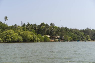 gündüz tropikal göl görünümü 