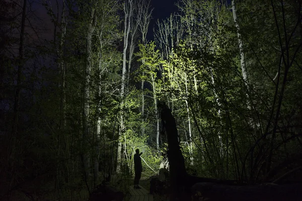 Gece Ormanda Ağaçları Aydınlatma Adam Siluet — Stok fotoğraf