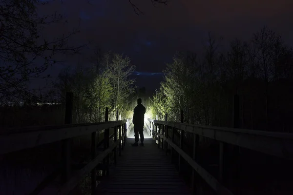 Homem Silhueta Árvores Iluminação Floresta Noite — Fotografia de Stock