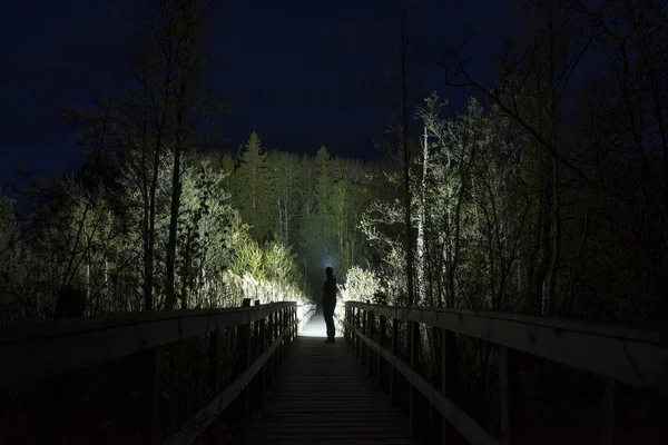 Man Silhouet Verlichting Bomen Bos Nachts — Stockfoto