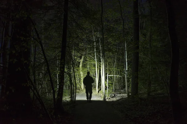 Gece Ormanda Ağaçları Aydınlatma Adam Siluet — Stok fotoğraf