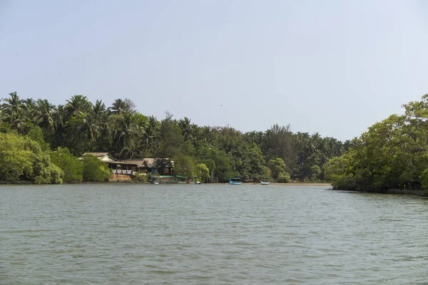 view of tropical lake at daytime