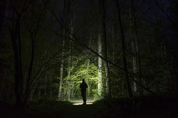 Man Silhouet Verlichting Bomen Bos Nachts — Stockfoto