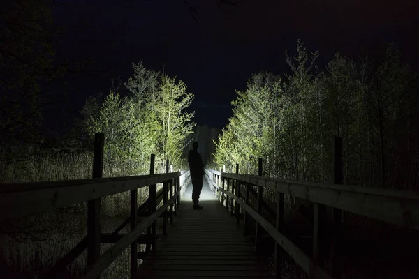 Hombre Silueta Iluminación Árboles Bosque Por Noche —  Fotos de Stock