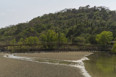 gündüz tropikal göl görünümü 