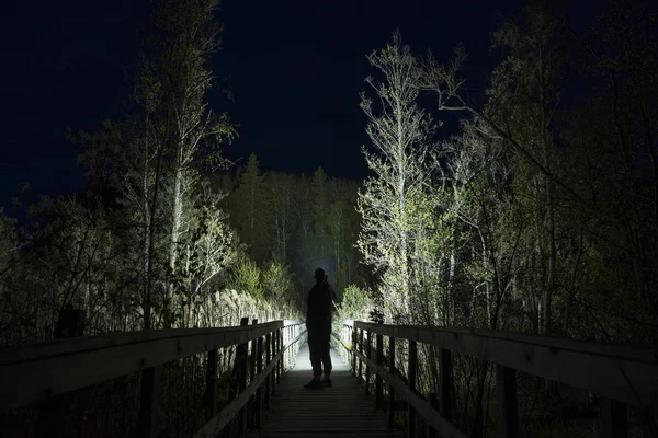 Homem Silhueta Árvores Iluminação Floresta Noite — Fotografia de Stock