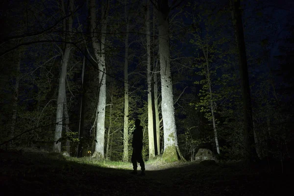 Man Silhouet Verlichting Bomen Bos Nachts — Stockfoto