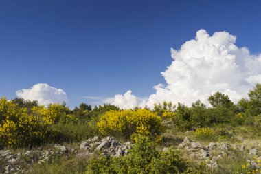 gündüz ada doğasının manzara görünümü 
