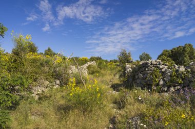 gündüz ada doğasının manzara görünümü 