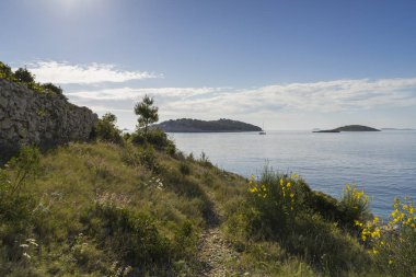 gündüz ada doğasının manzara görünümü 
