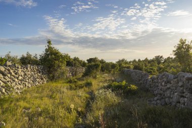 gündüz ada doğasının manzara görünümü 