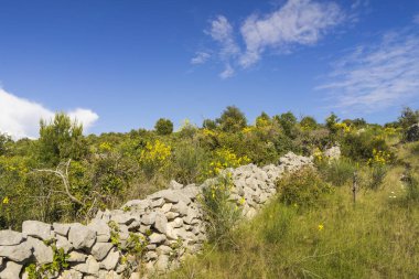 gündüz ada doğasının manzara görünümü 