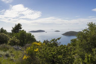 gündüz ada doğasının manzara görünümü 