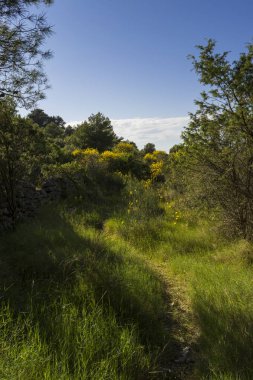 gündüz ada doğasının manzara görünümü 