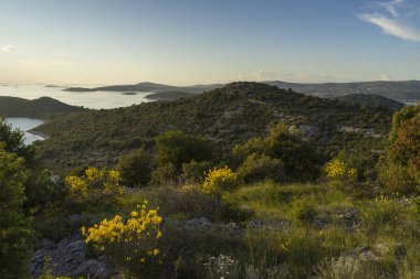 gün batımında ada doğasının manzara görünümü